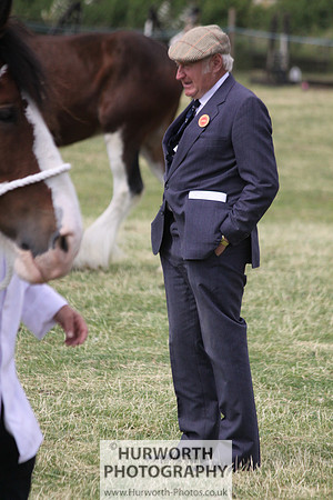 2013 Osmotherley Show 100
