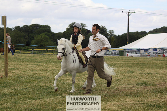 2013 Osmotherley Show 022