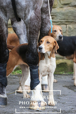 Hurworth Hunt 042