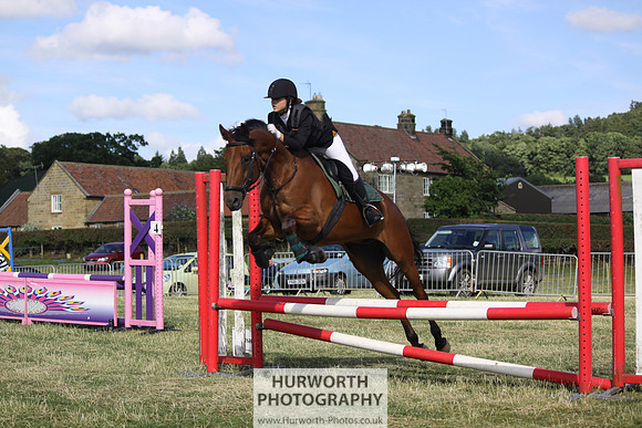 2013 Osmotherley Show 337