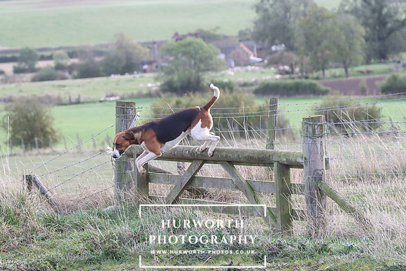 Hurowth Hunt 83