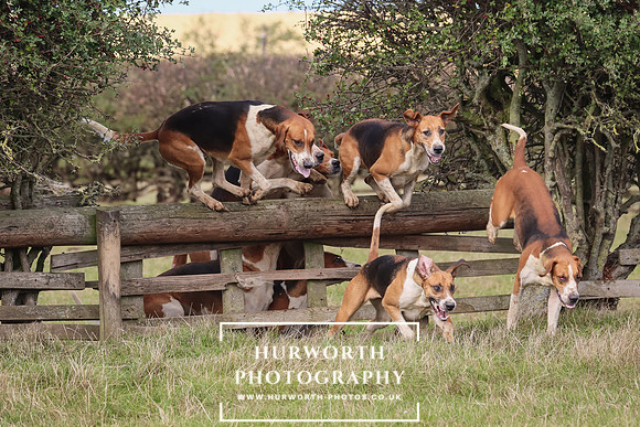 Hurworth Hunt 22