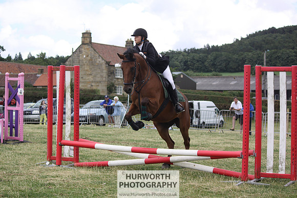 2013 Osmotherley Show 036