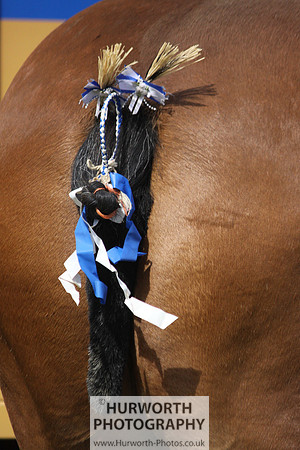 2013 Osmotherley Show 011