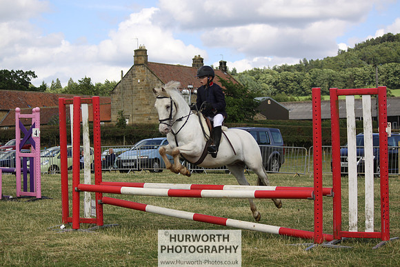 2013 Osmotherley Show 275