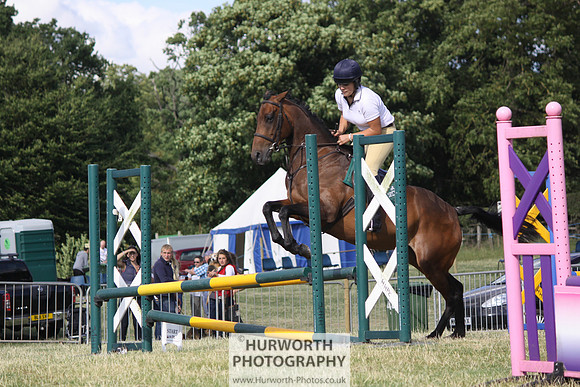 2013 Osmotherley Show 354