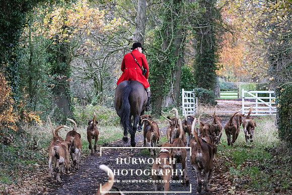 Hurworth Hunt  181