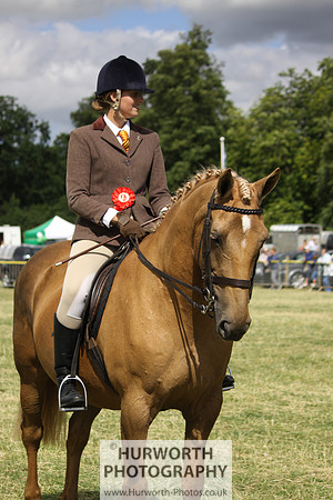 2013 Osmotherley Show 252