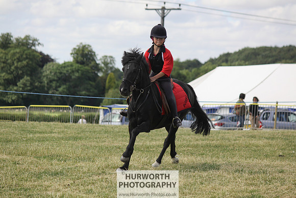 2013 Osmotherley Show 278
