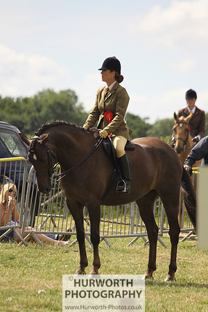 2013 Osmotherley Show 130