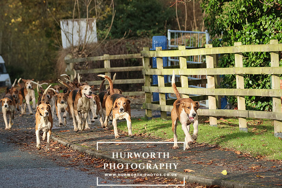 Hurworth Hunt  169