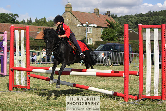 2013 Osmotherley Show 300