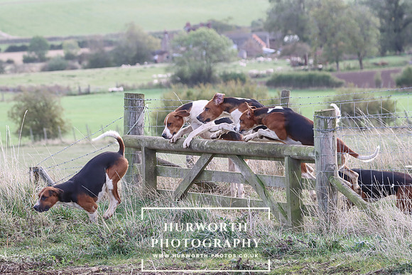 Hurowth Hunt 49