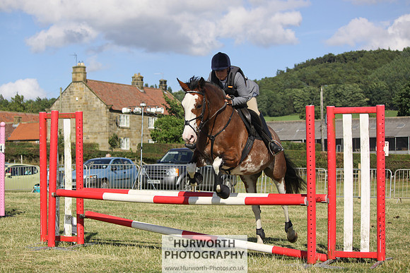 2013 Osmotherley Show 375