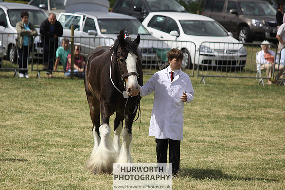 2013 Osmotherley Show 099