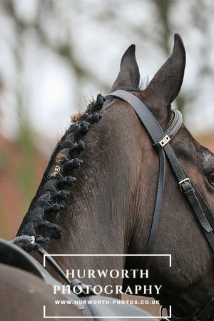 Hurworth Hunt 501