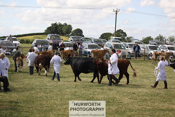 2013 Osmotherley Show 233