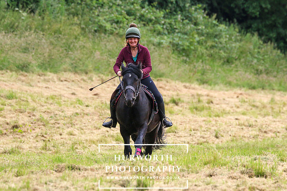 Pleasure Ride return 381