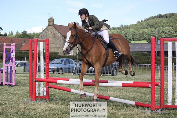 2013 Osmotherley Show 353