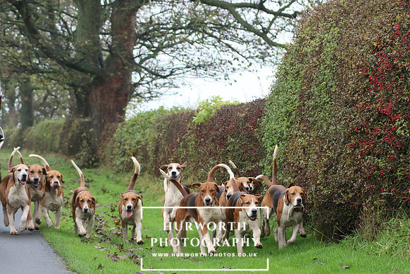 Hurworth Hunt  19