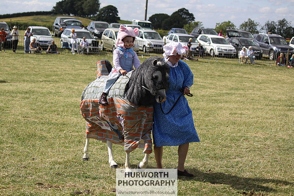 2013 Osmotherley Show 260