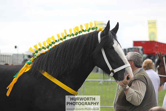 North Yorkshire County Show 122
