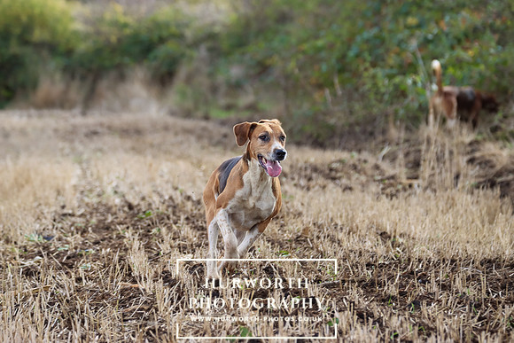 Hurworth Hunt 18