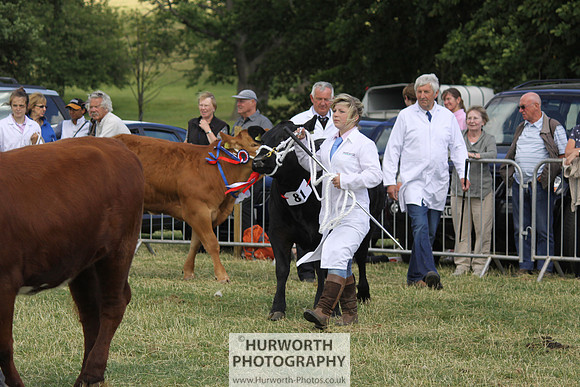 2013 Osmotherley Show 199