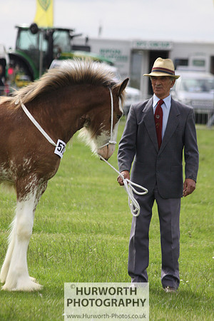 North Yorkshire County Show 083