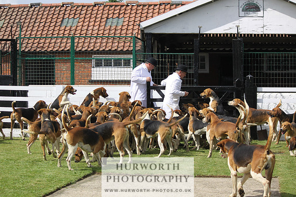 Hurworth Hunt Puppy Show 141