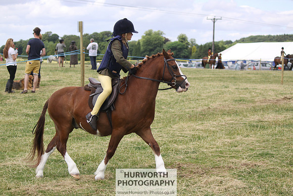 2013 Osmotherley Show 048