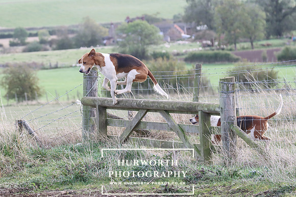 Hurowth Hunt 70