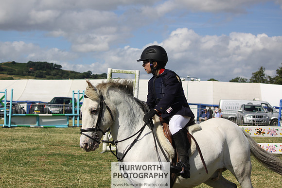 2013 Osmotherley Show 303