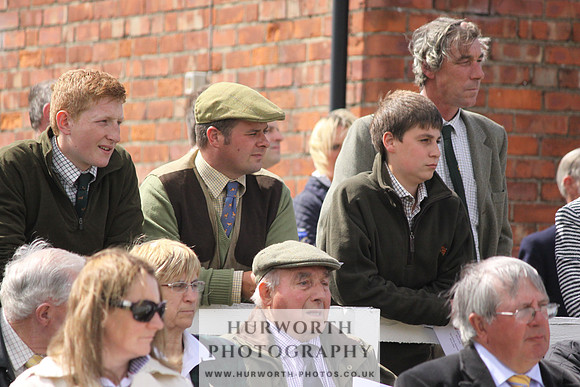 Hurworth Hunt Puppy Show 086