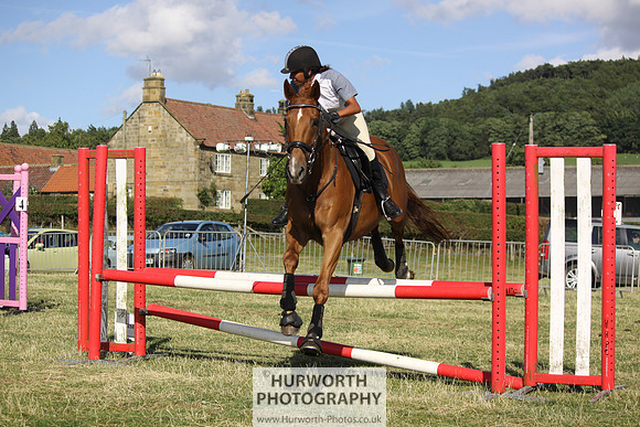 2013 Osmotherley Show 382