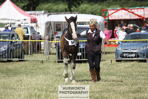 2013 Osmotherley Show 167