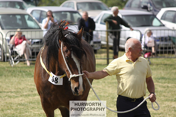 2013 Osmotherley Show 176