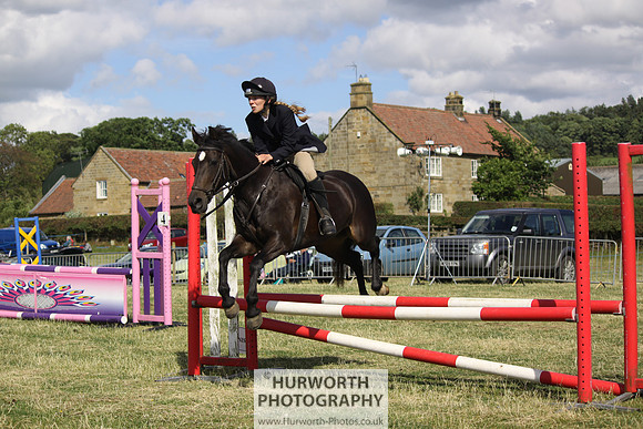 2013 Osmotherley Show 295