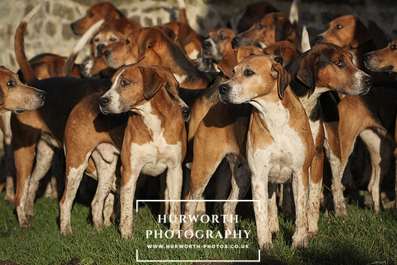 Hurworth Hunt 015