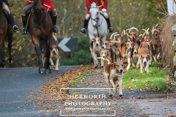 Hurworth Hunt  162