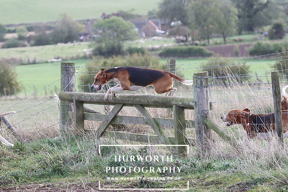 Hurowth Hunt 62