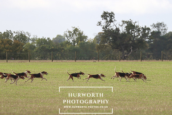 Hurowth Hunt 24
