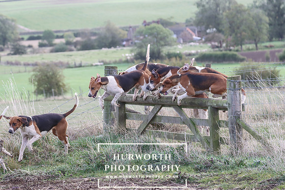 Hurowth Hunt 58