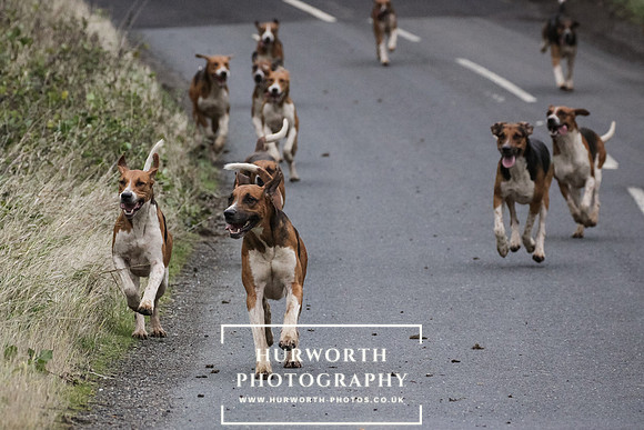 Hurworth Hunt 082