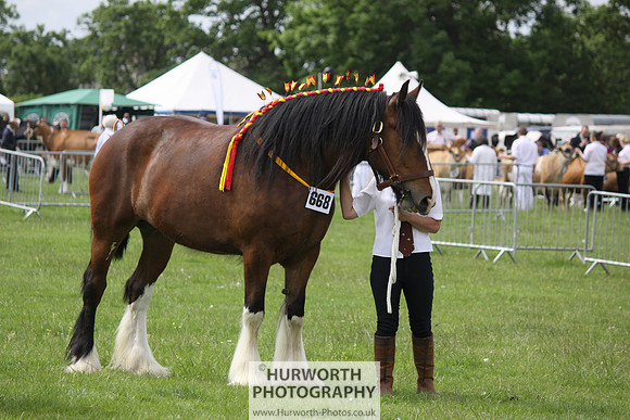 North Yorkshire County Show 082