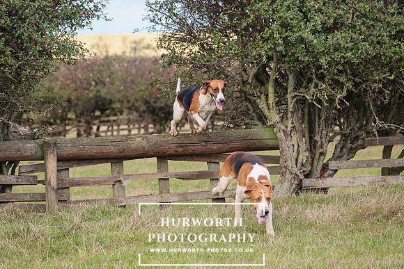 Hurworth Hunt 27
