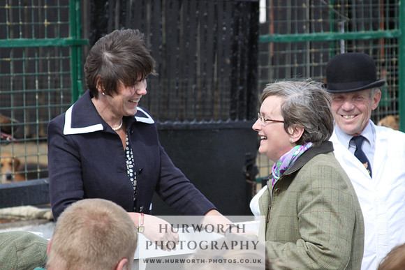 Hurworth Hunt Puppy Show 157