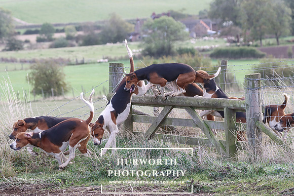 Hurowth Hunt 54