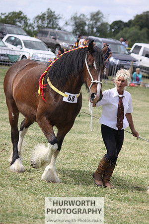 2013 Osmotherley Show 101