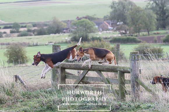 Hurowth Hunt 77